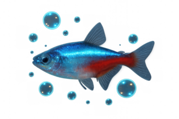 Colorful neon tetra fish swimming gracefully amidst transparent bubbles, creating a vibrant underwater scene