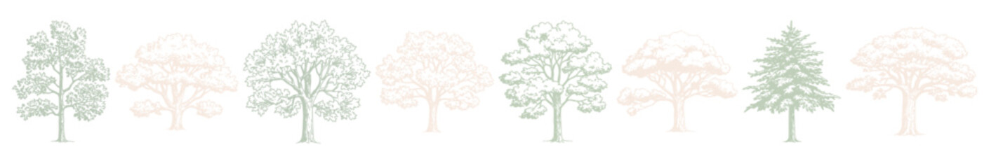 Architectural Drawings Minimalist Hand-Drawn Tree Illustrations Collection Featuring Various Species in Soft Pastel Shades for Nature, Architecture, and Design Projects