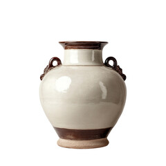 Elegant ceramic vase against a black backdrop offering timeless charm and sophistication