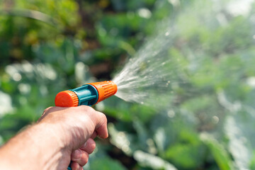 Gardener's hand holds a hose with a sprayer and watered the plants in the garden