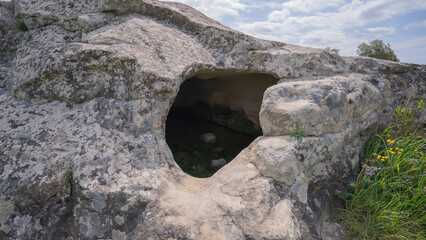 Prehistoric Domus de Janas tomb carved in stone, surrounded by lush Sardinian forest