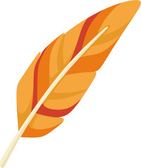 illustration feather © Je