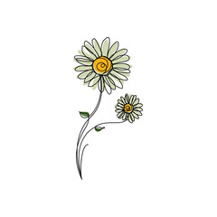 Minimalists hand drawn two white daisy flowers. Colored one-line art illustration.