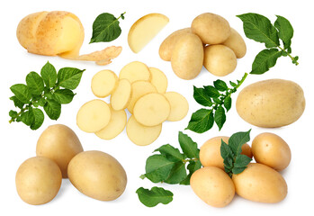 Potatoes and green plant leaves isolated on white, set