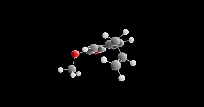 Eugenol molecule, rotating 3D model of guaiacol, looped video on a black background
