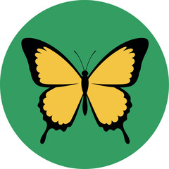 Yellow butterfly on green circle