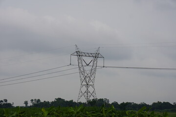 A huge electricity pylon against the cloudy sky behind a dense vegetation