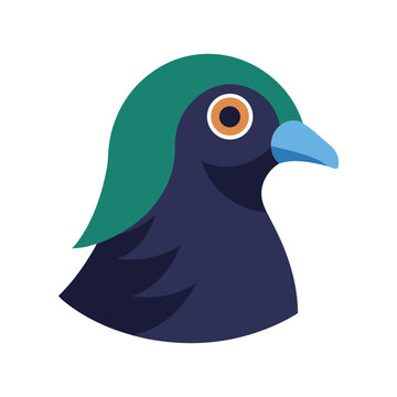 pegeon head vector art