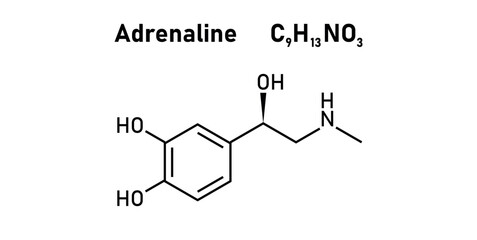 chemical structure of adrenaline or epinephrine.