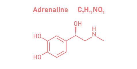 chemical structure of adrenaline or epinephrine. © SAMYA