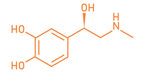 chemical structure of adrenaline or epinephrine. © SAMYA