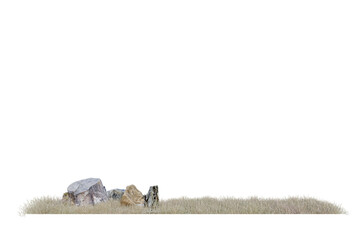 dry grass field and tree stump PNG transparent, 3d illustration rendering 