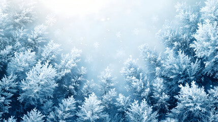 Serene winter landscape with frosted trees under soft sunlight in a snowy forest