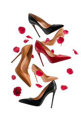 High-heeled shoes in various colors surrounded by rose petals isolated on a transparent background  