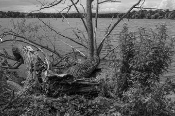 Potsdam und die brandenburgische Seeplatte