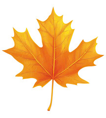Fototapeta premium Vibrant autumnal maple leaf graphic