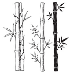Detailed hand drawn bamboo stalks with leaves in a monochrome vector illustration