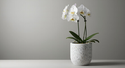 flowers in vase