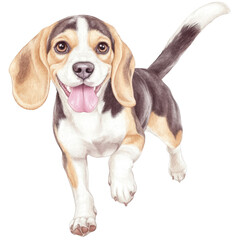 Playful Beagle Puppy Running Toward Camera With Tongue Out Brightly Colored Digital Illustration