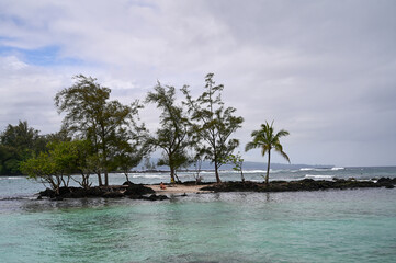 Tropical Palm Trees and Clear Blue Sky, Hawaii