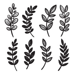 Hand drawn collection of botanical leaves in black and white artistic vector illustration