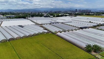 Drone Shot of Greenhouse Farming Patterns