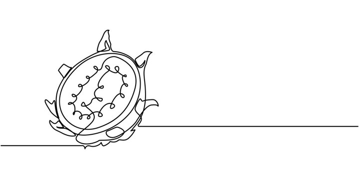 Dragon fruit, pitaya simple color vector illustration. One continuous line art drawing with lettering organic Dragon fruit, pitahaya, Single continuous line drawing whole healthy organic dragon fruit 