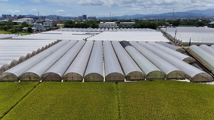 Large-Scale Greenhouse Agriculture from Above