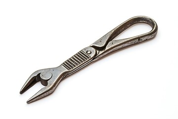 Obraz premium A straight forceps tool with ridged jaws and a polished metallic finish, centered cleanly on white. --