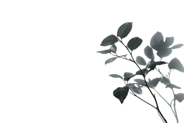 Abstract grayscale image of foliage