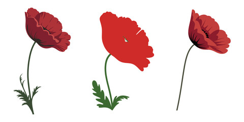 Tulip flowers vector icon set. Set of tulip silhouette icons and flower symbol. Vector illustration, Tulip Flower Vector Graphic Silhouette Pack, Tulip flower silhouette, white background.