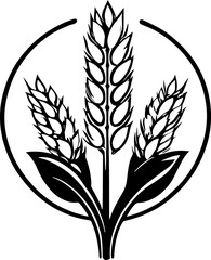 Rice or wheat plant or grain  icon