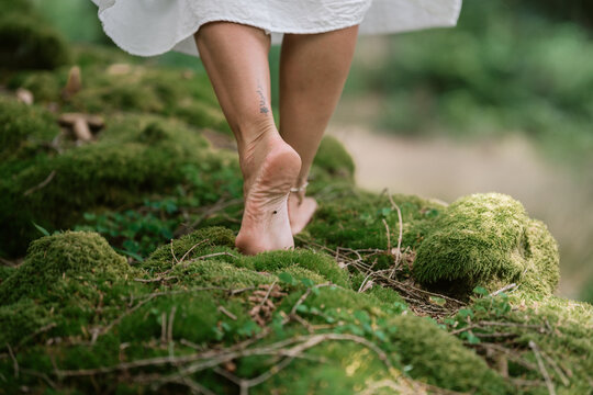 Barefoot walk through forest moss, female feet in close-up, enjoying nature and a grounding moment