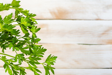 Parsley leaves and stems on one side with a blurred white wooden background, foreground composition with copy space.