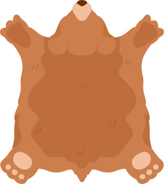 illustration bear skin