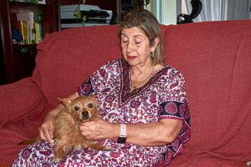 A heartwarming scene with a grandmother and her red-haired dog demonstrating unity and affection in the living room of a family home.