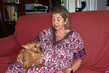 A heartwarming scene with a grandmother and her red-haired dog demonstrating unity and affection in the living room of a family home.