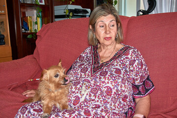 A heartwarming scene with a grandmother and her red-haired dog demonstrating unity and affection in the living room of a family home.