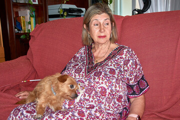 A heartwarming scene with a grandmother and her red-haired dog demonstrating unity and affection in the living room of a family home.