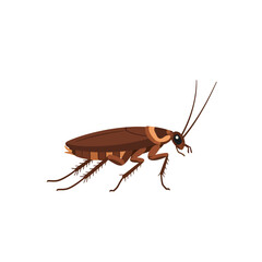Illustration of a cockroach with brown body, long antennae, and six legs, isolated on a white background.