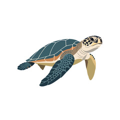 A detailed illustration of a sea turtle swimming with flippers outstretched, isolated on white. © Disma