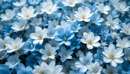 A serene and whimsical atmosphere is created by a vibrant array of white and blue flowers with soft petals.