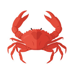 Flattened illustration of a vibrant red crab, showcasing its claws and body segments.