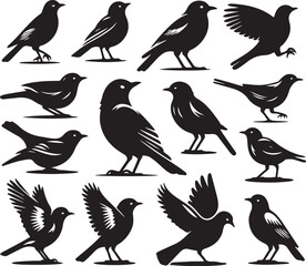 set of birds silhouettes vector