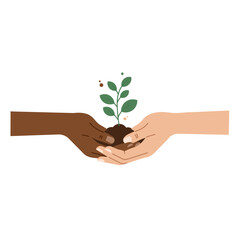 Hands holding plant diversity and growth concept