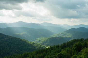 Enchanted Pine Canyon Dawn's Whisper in the Mountains