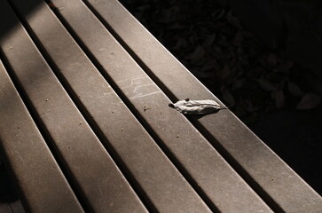 L1005313.JPG