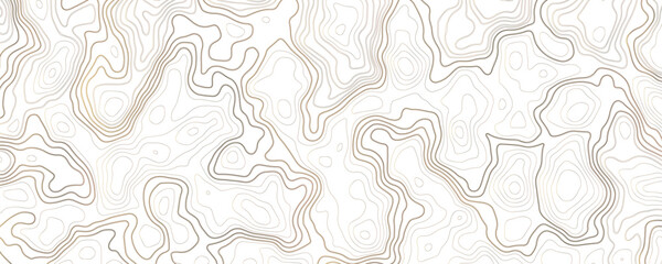 Topographic map background concept. Vector abstract illustration. Geography concept. geographic contour map grid backdrop paper texture. terrain path isolated on a background.