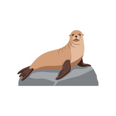 A light brown sea lion resting calmly on a grey rock, isolated on a white background.