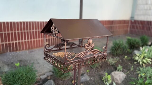 Ornate Metal Bird Feeder, Filled with Seeds, Stands in a Lush Garden Setting Near a Brick-Accented Wall.